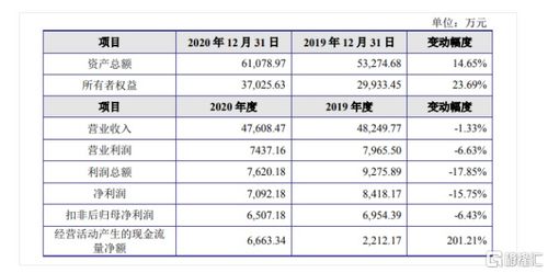 金智教育聚焦高等教育信息化，2020年營收達4.7億元，核心業(yè)務為信息系統(tǒng)集成服務